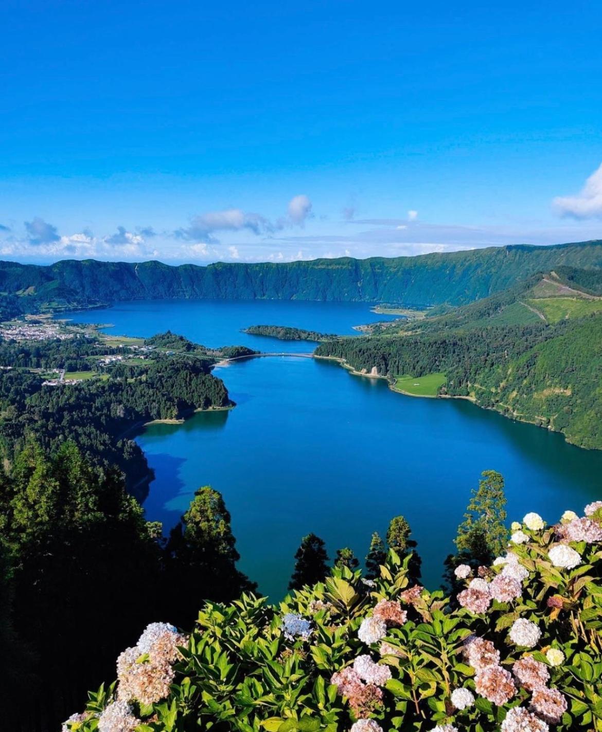 Ponta Delgada Lovely&Charming Anita'S Apartment מראה חיצוני תמונה